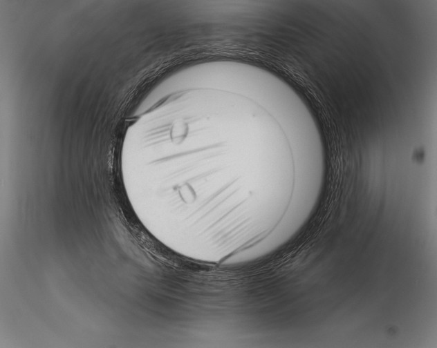 X0000115270639200912111204