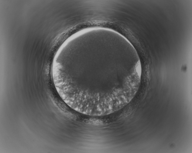 X0000115270640200912111204