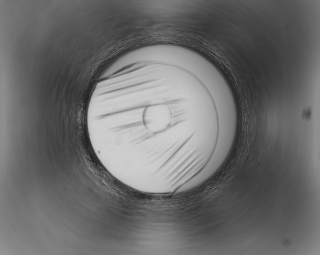 X0000115270641200912111204