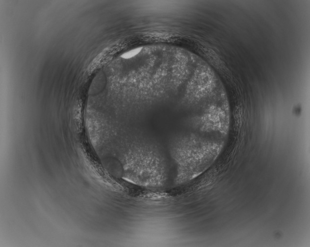 X0000115270642200912111204