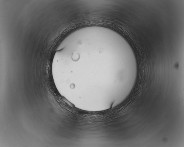 X0000115270643200912111204