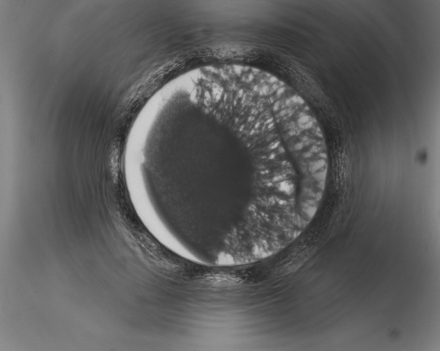 X0000115270644200912111204