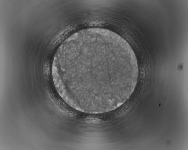 X0000115270648200912111204