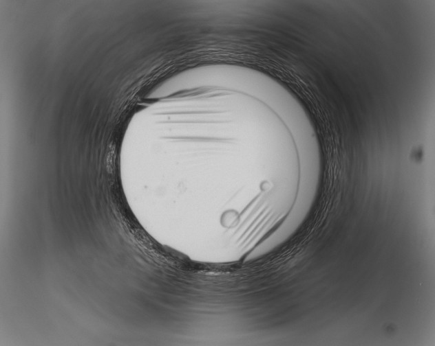 X0000115270649200912111204