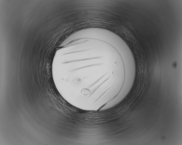 X0000115270653200912111204