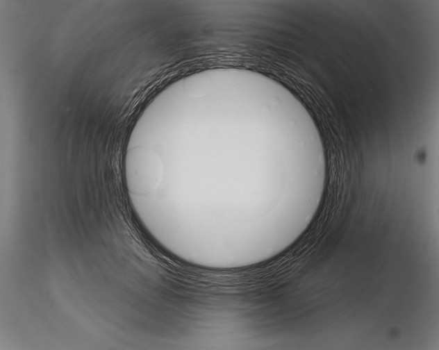 X0000115270654200912111204