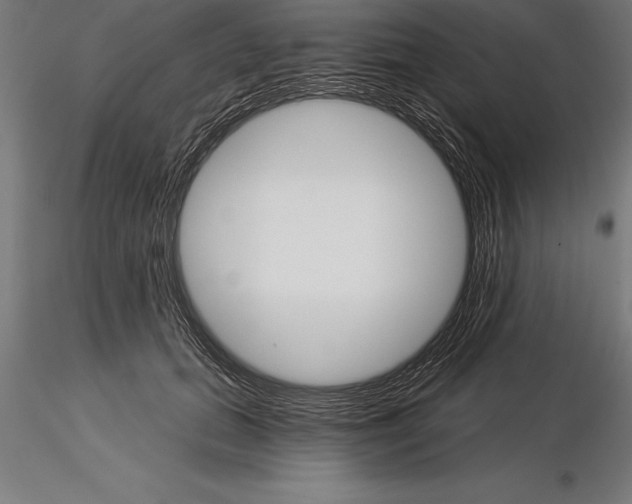 X0000115270655200912111204