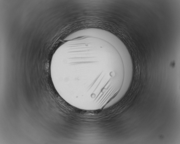 X0000115270657200912111204