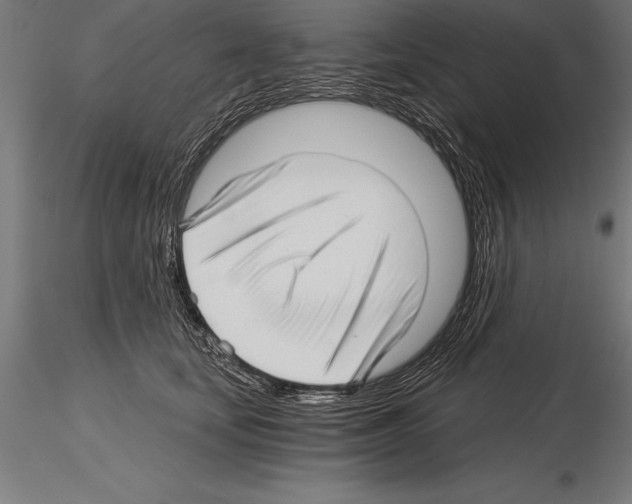 X0000115270659200912111204