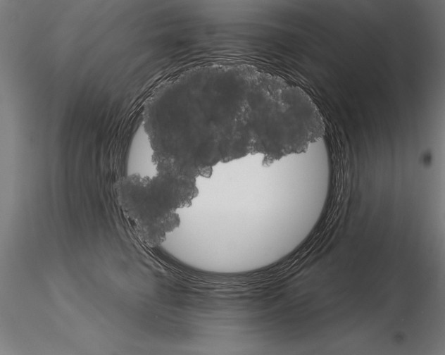 X0000115270662200912111204