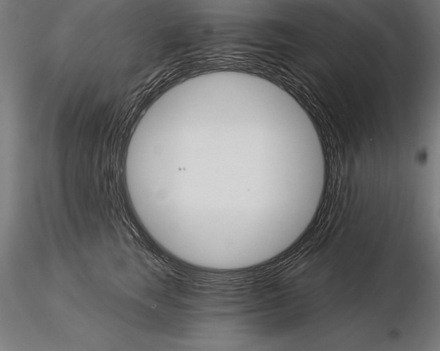 X0000115270663200912111204