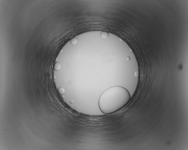 X0000115270666200912111204