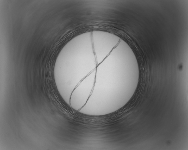 X0000115270667200912111204