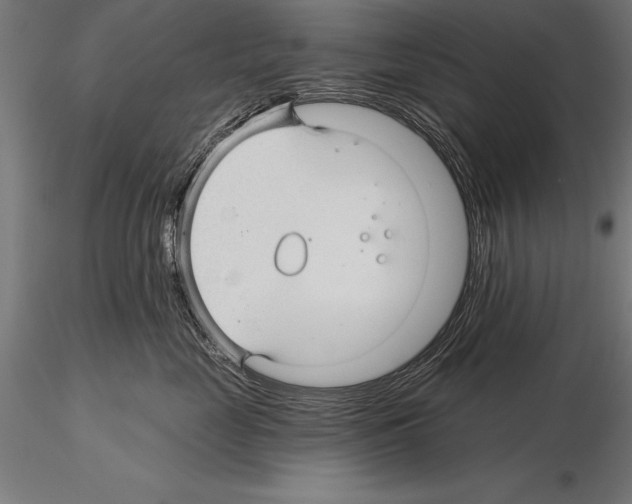 X0000115270669200912111204