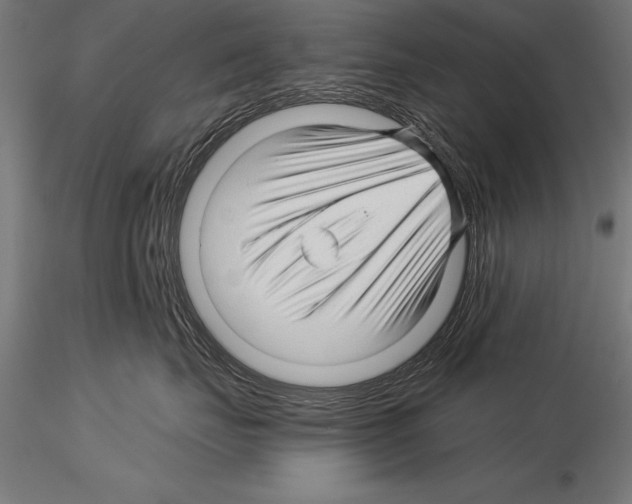 X0000115270671200912111204