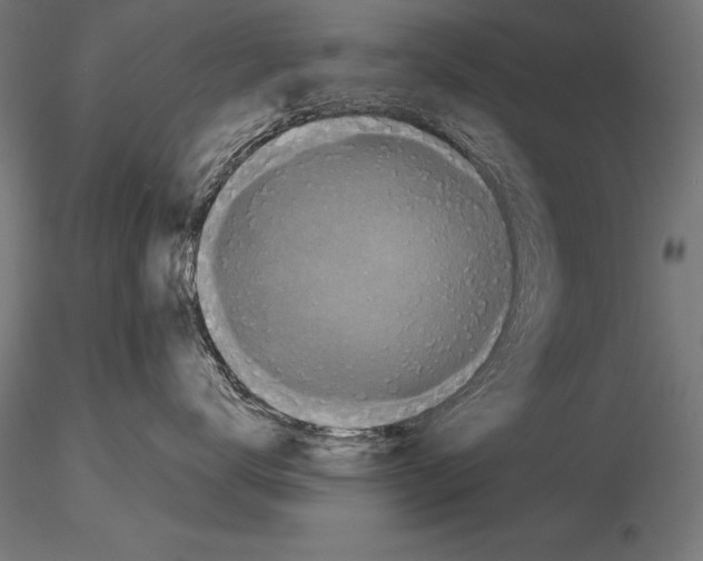 X0000115270672200912111204