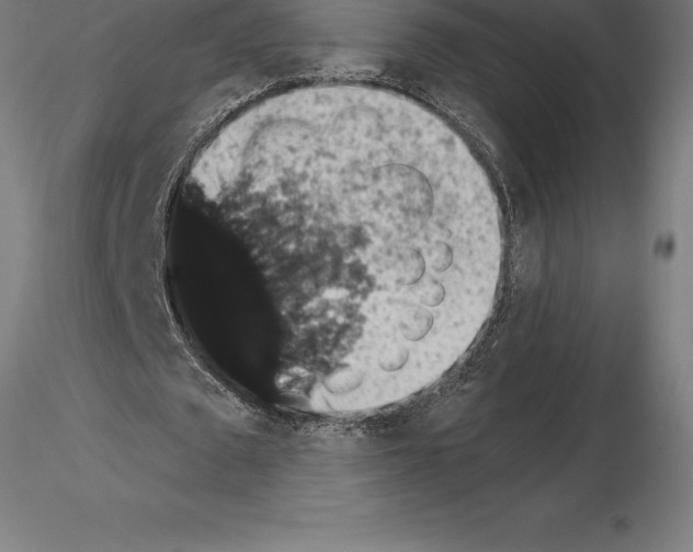 X0000115270673200912111204