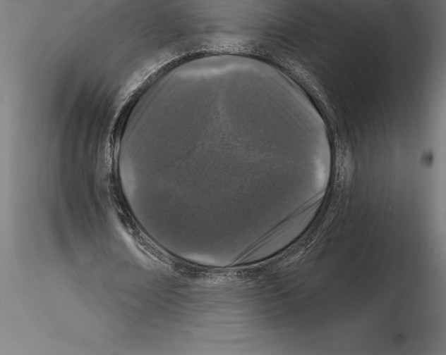 X0000115270674200912111204