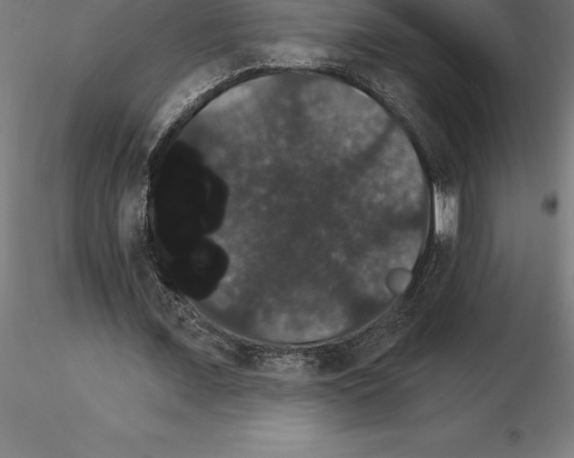 X0000115270675200912111204