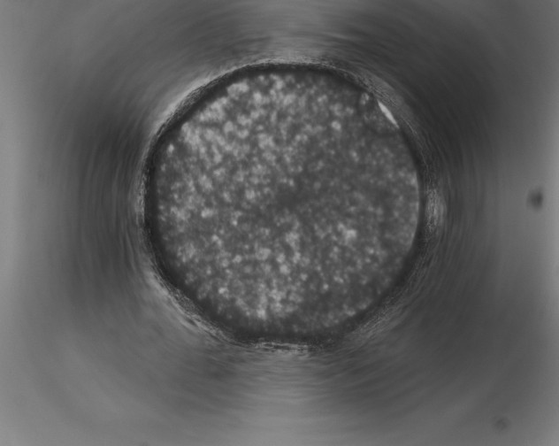 X0000115270676200912111204