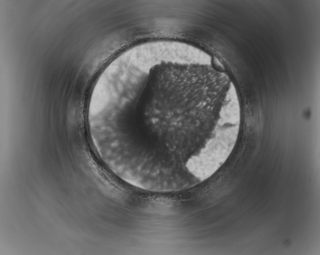 X0000115270677200912111204