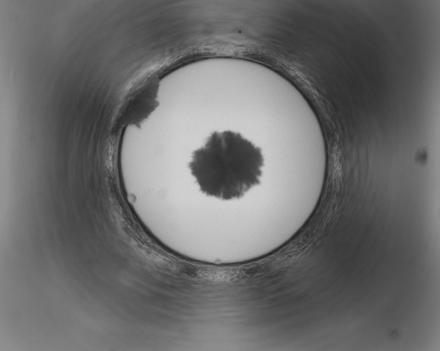 X0000115270679200912111203