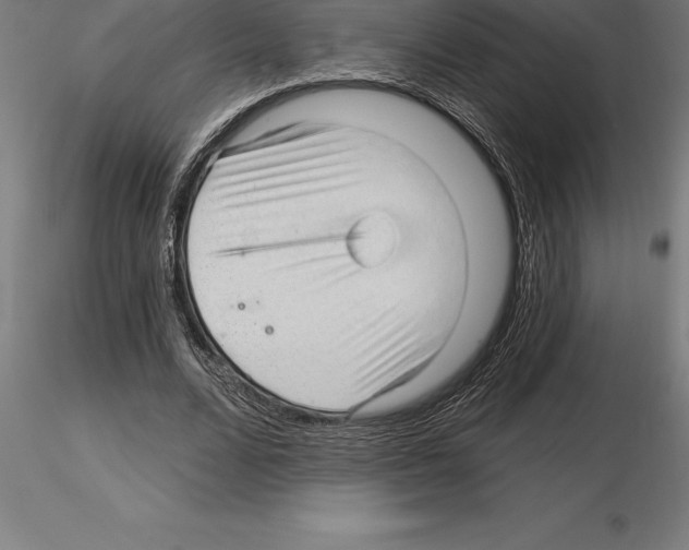 X0000115270680200912111203