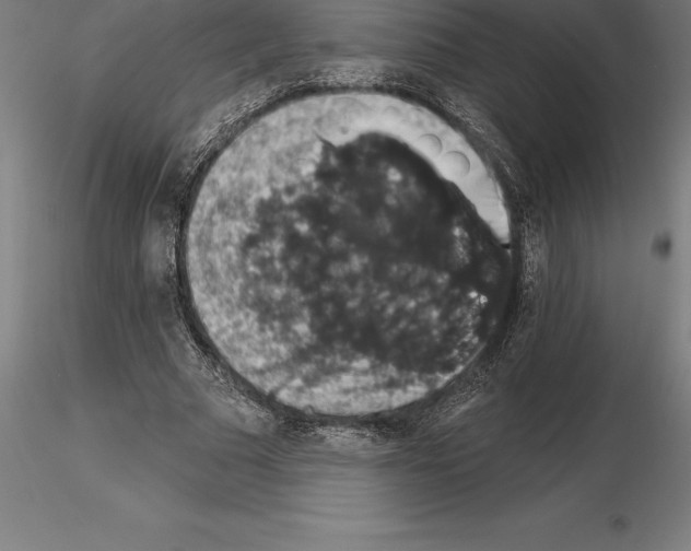 X0000115270681200912111203