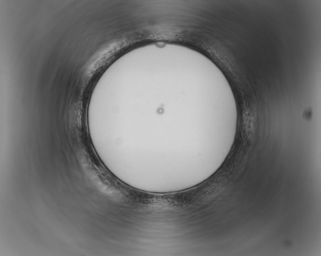 X0000115270682200912111203