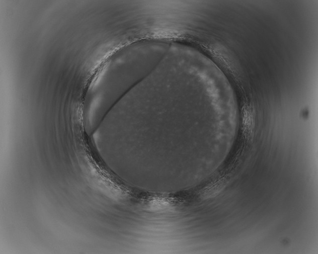 X0000115270684200912111203