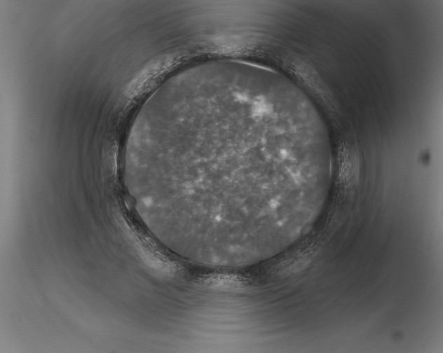 X0000115270685200912111203