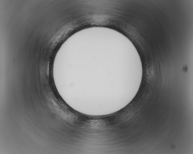 X0000115270686200912111203