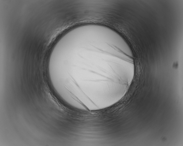 X0000115270688200912111203