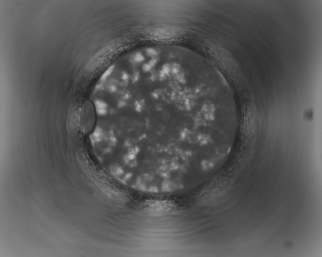 X0000115270689200912111203