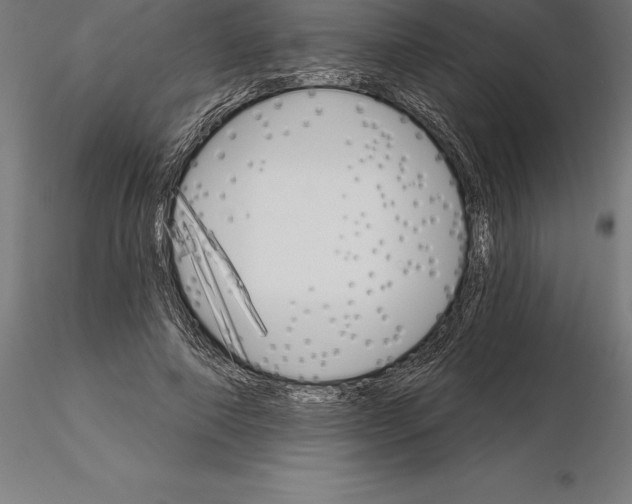 X0000115270690200912111203