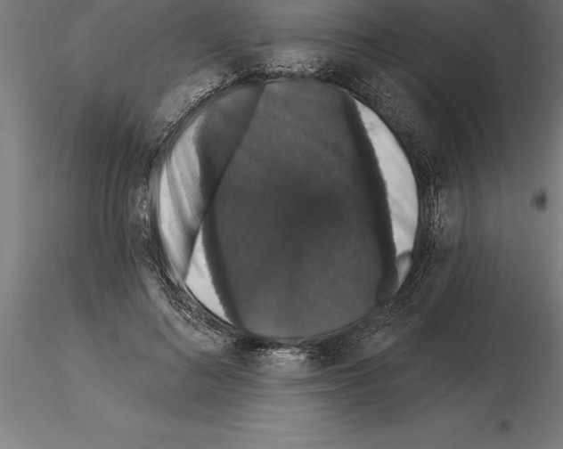 X0000115270692200912111203