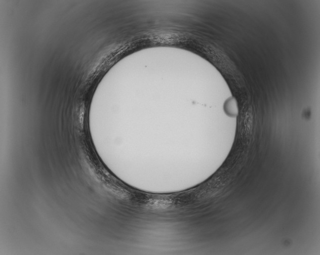 X0000115270694200912111203