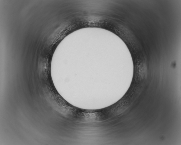 X0000115270698200912111203