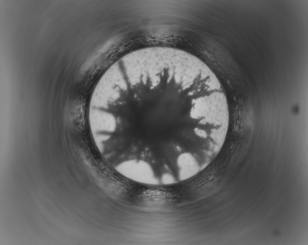 X0000115270699200912111203