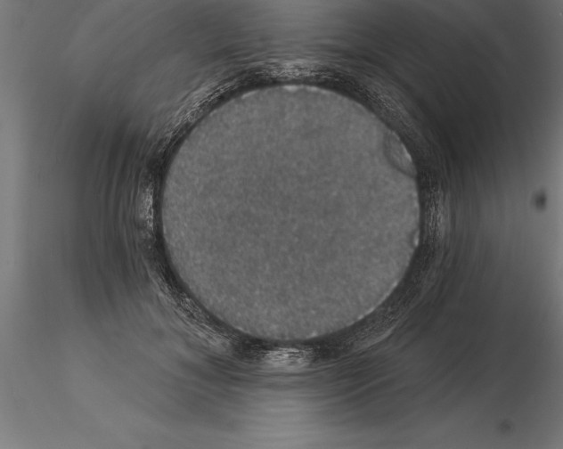 X0000115270700200912111203