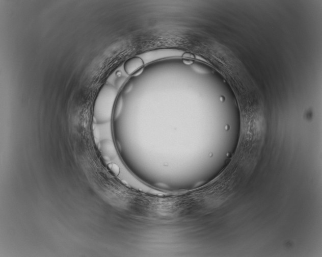 X0000115270701200912111203