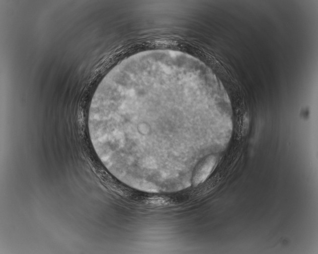 X0000115270704200912111203