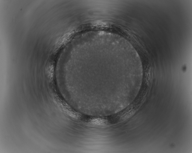 X0000115270708200912111203