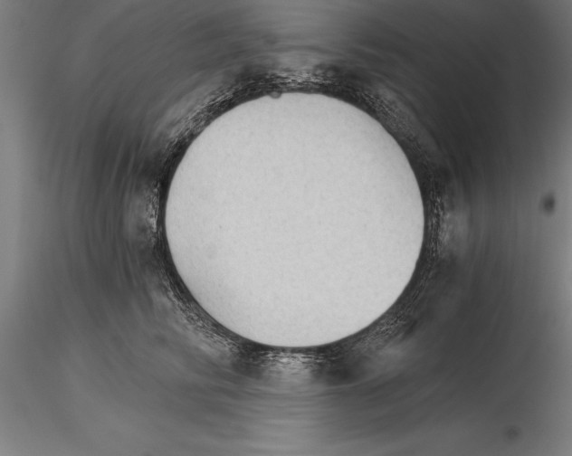 X0000115270710200912111203