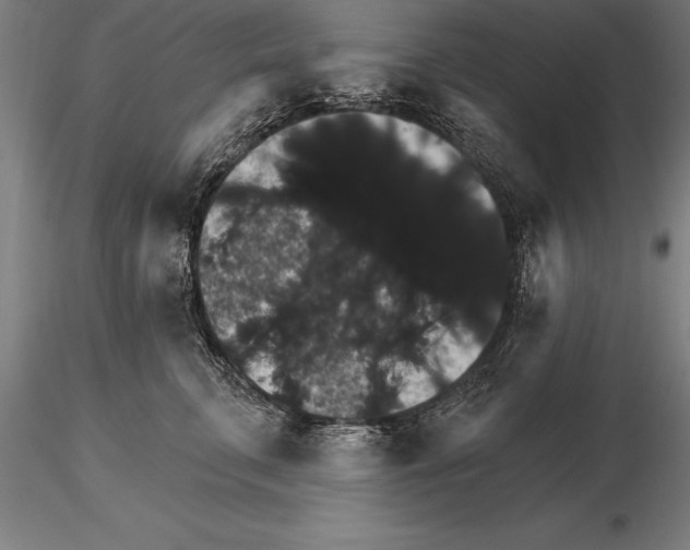 X0000115270711200912111203