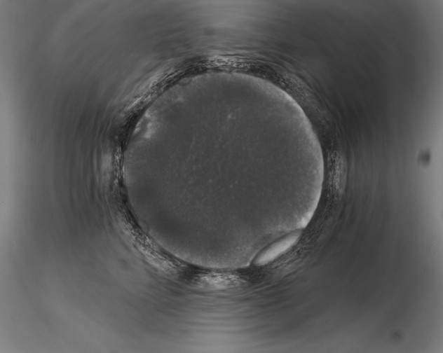 X0000115270712200912111203