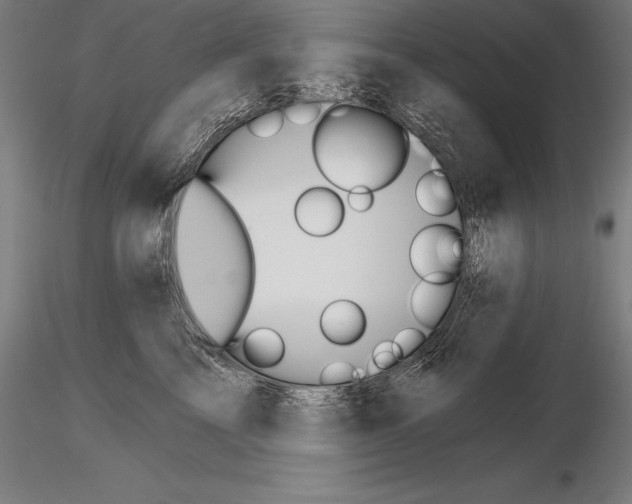 X0000115270713200912111203