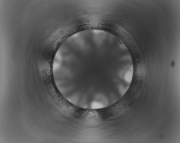 X0000115270715200912111203