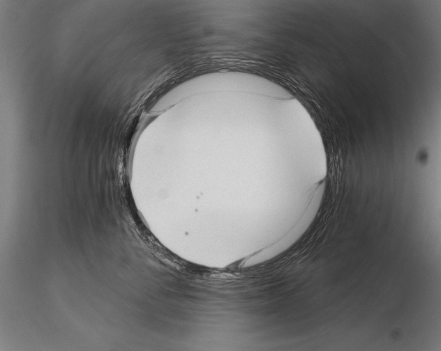 X0000115270716200912111203