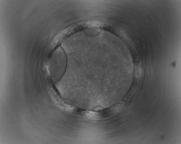 X0000115270718200912111203